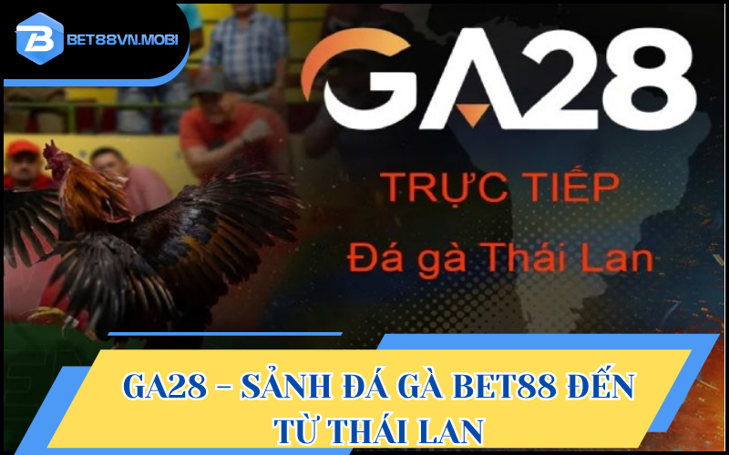 Các cuộc chọi kê hấp dẫn từ Thái Lan được thể hiện tại GA28