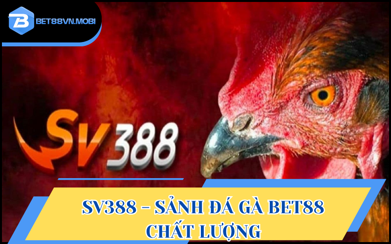 SV388 mang đến sân chơi chọi kê hợp pháp