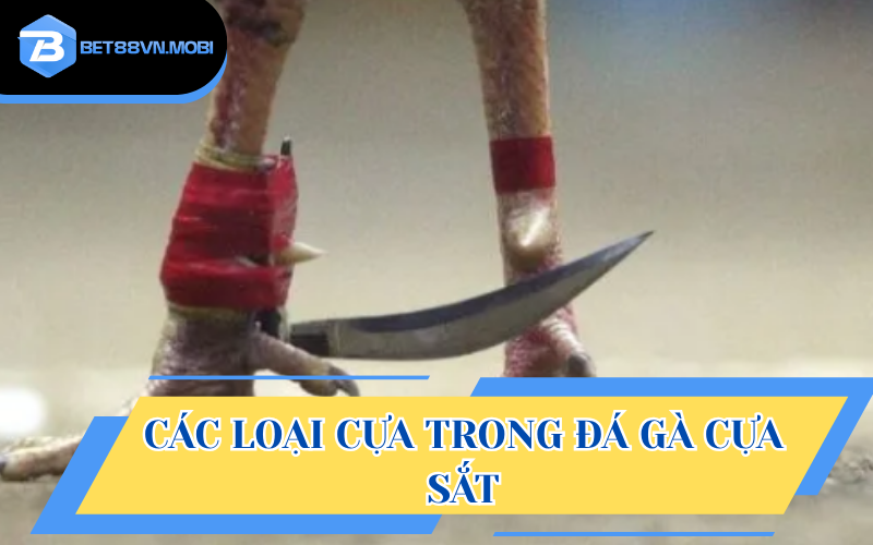 Các loại cựa dùng trong các cuộc đối đầu hấp dẫn