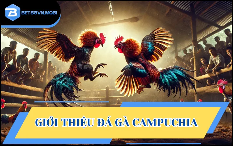 Đá gà Campuchia chỉ những cuộc đấu của chiến kê ở nước chùa tháp