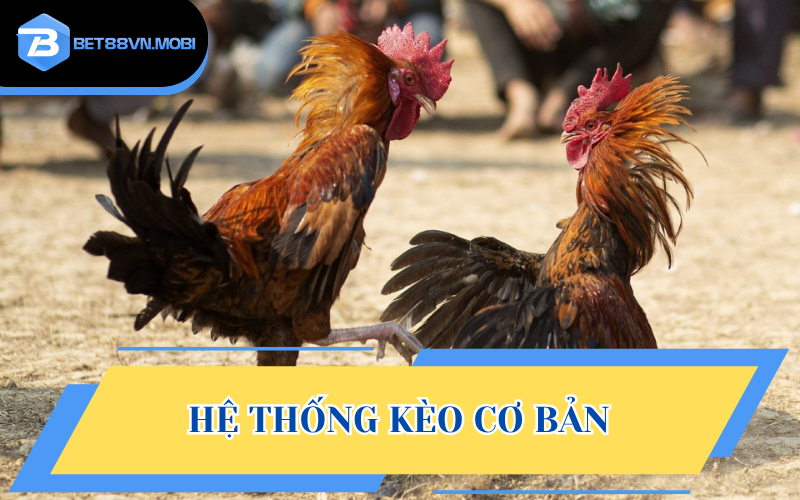 Những loại kèo cơ bản của trận đấu