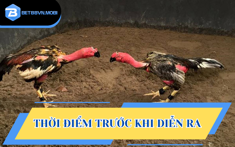 Thời điểm trước khi trận diễn ra