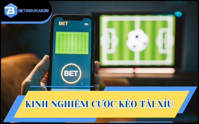 Bạn nên áp dụng kinh nghiệm cược của lão làng để dễ thắng